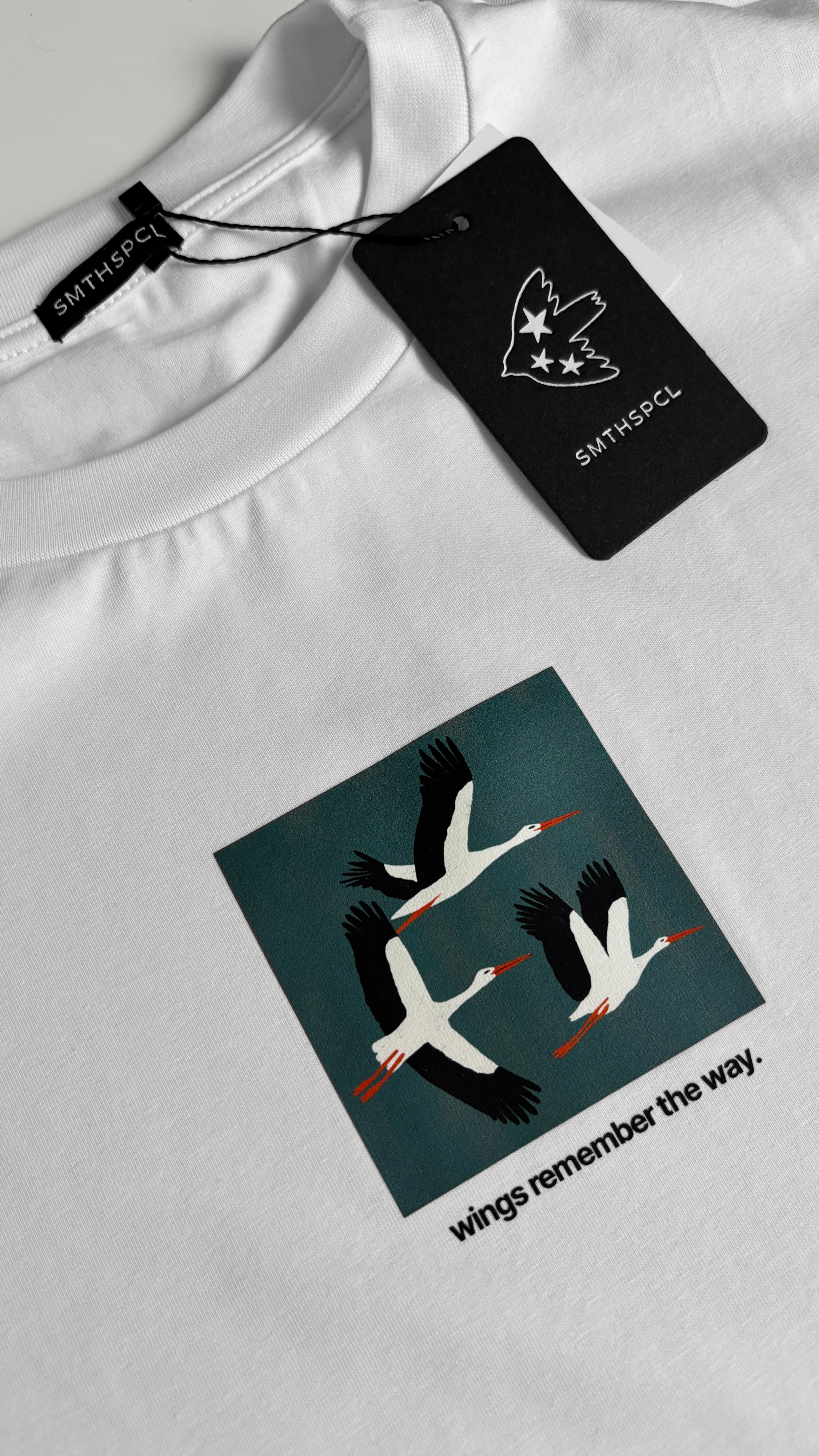 Oversized T-shirt "Wings remember the way"