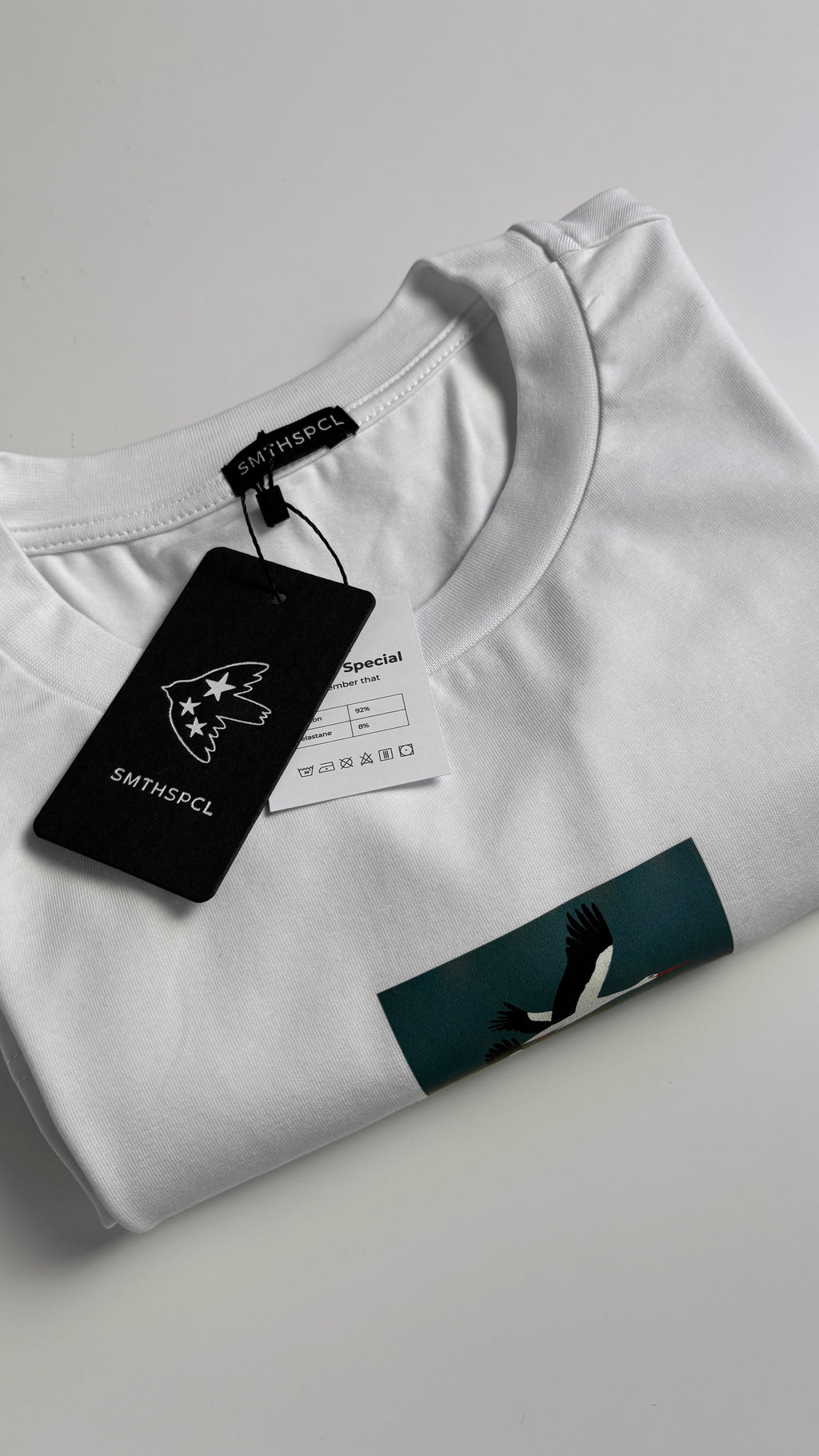 Oversized T-shirt "Wings remember the way"